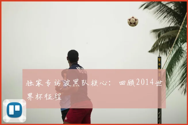 独家专访波黑队核心：回顾2014世界杯征程
