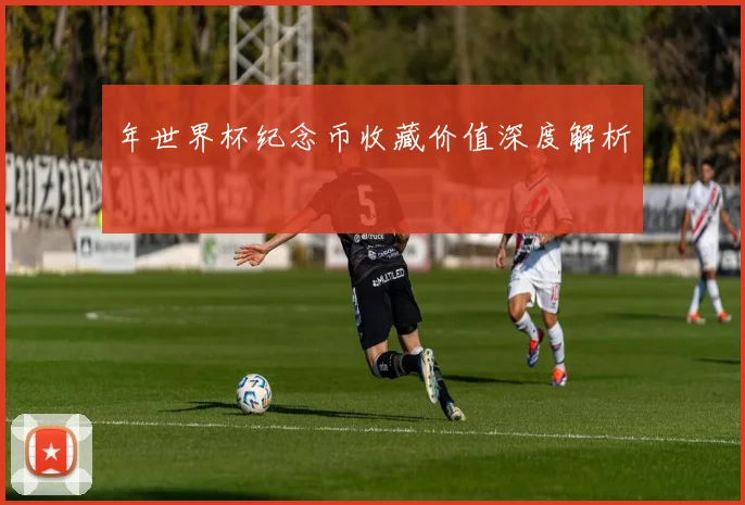 年世界杯纪念币收藏价值深度解析