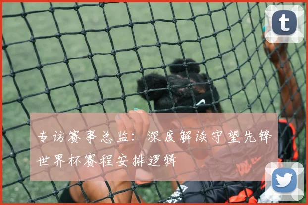 专访赛事总监：深度解读守望先锋世界杯赛程安排逻辑