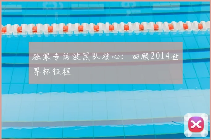 独家专访波黑队核心：回顾2014世界杯征程