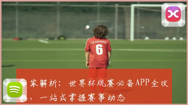 专家解析：世界杯观赛必备APP全攻略，一站式掌握赛事动态