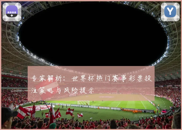 专家解析：世界杯热门赛事彩票投注策略与风险提示