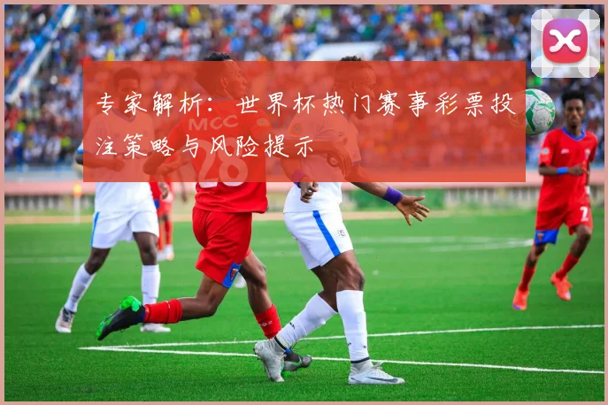 专家解析：世界杯热门赛事彩票投注策略与风险提示